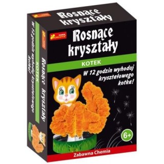 Rosnące kryształy RANOK Kotek