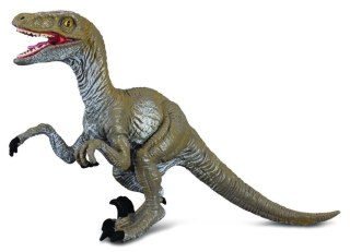 Dinozaur Velociraptor