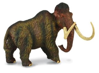 Mamut Deluxe