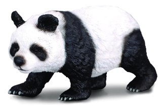 Panda wielka