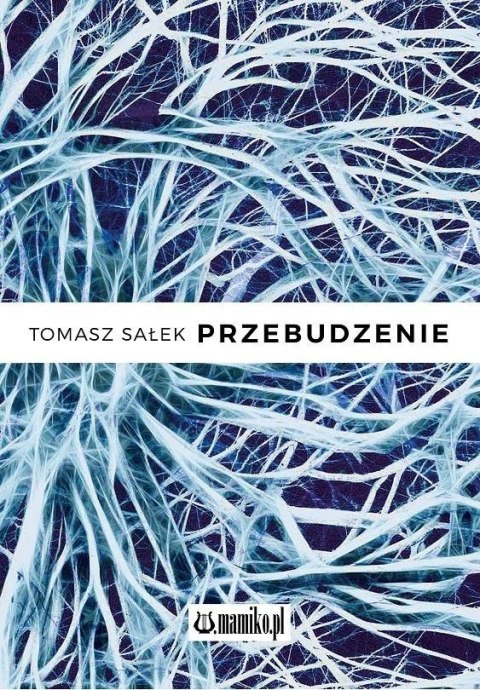 Przebudzenie