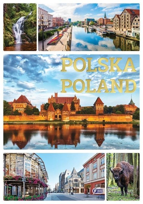 Polska Poland