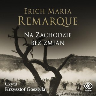 Na Zachodzie bez zmian. Audiobook