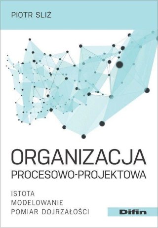 Organizacja procesowo-projektowa.