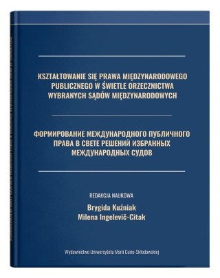 Kształtowanie się prawa międzynarodowego pub. ...