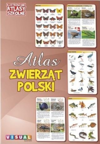 Ilustrowany atlas szkolny. Atlas zwierząt Polski