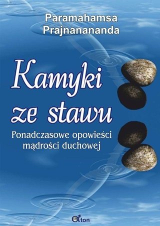 Kamyki ze stawu