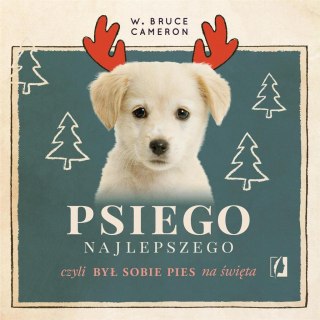 Psiego najlepszego audiobook