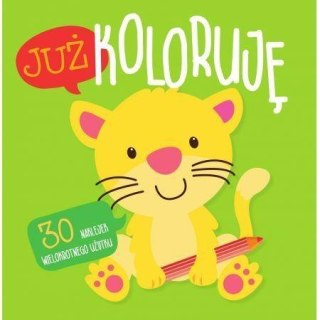 Już koloruję. Kotek. Easy color 2