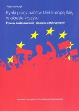 Rynki pracy państw Unii Europ. w okresie kryzysu