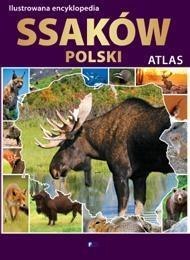 Ilustrowana encyklopedia ssaków Polski. Atlas