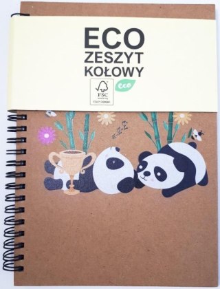 Kołozeszyt A5/60K Eco panda