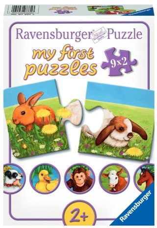 Puzzle 9x2 Urocze zwierzęta