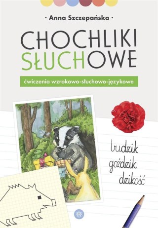 Chochliki słuchowe. Ćwiczenia wzrokowo-słuchowo...