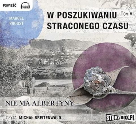 W poszukiwaniu straconego czasu T.6 Audiobook