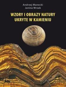 Wzory i obrazy natury ukryte w kamieniu