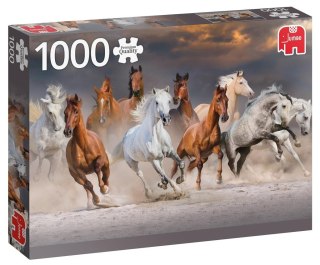 Puzzle 1000 PC Pustynne konie G3