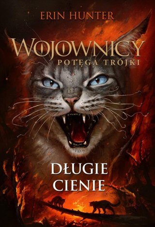 Wojownicy. Potęga trójki T.17 Długie cienie