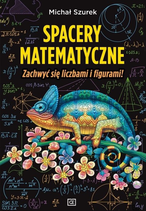 Spacery matematyczne. Zachwyć się liczbami i..