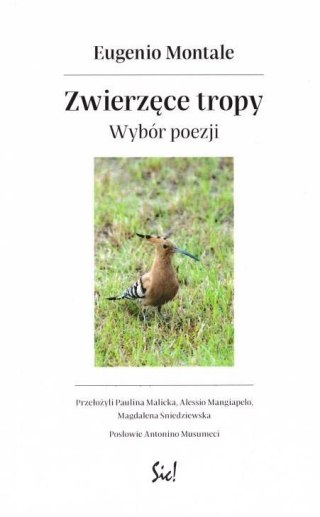 Zwierzęce tropy