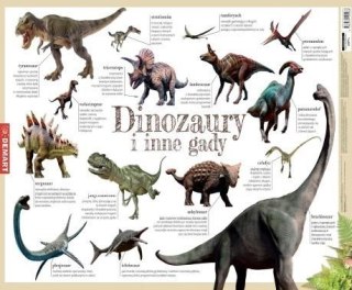 Podkładka na biurko dinozaury i inne gady