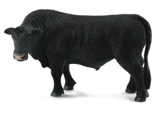 Byk czarny angus