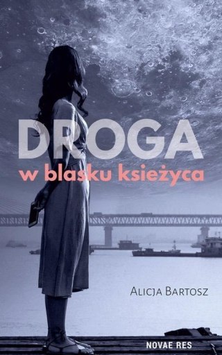 Droga w blasku księżyca