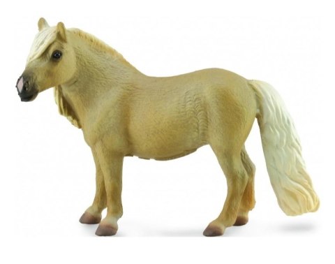 Klacz Falabella Mare Palomino