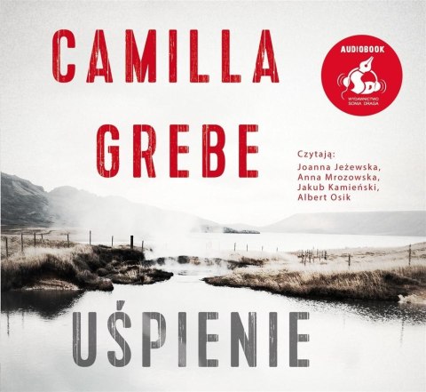 Uśpienie audiobook