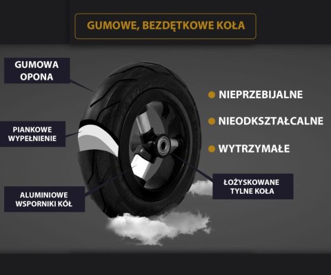 Qplay Rowerek Trójkołowy Rito Rubber Green