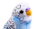 Maskotka niebieska Papuga falista 13cm 13729