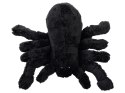 Maskotka plusz czarny pająk Tarantula 16cm 13620