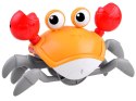 Uciekający Krab zabawka do raczkowania ZA4476