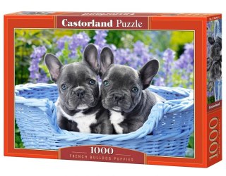 Puzzle 1000-elementów C-104246 French Bulldog Puppies psy w koszyku