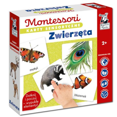 Karty sensoryczne. Zwierzęta 2+ Montessori ega edukacyjna KS1019