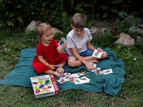 Karty sensoryczne. Zwierzęta 2+ Montessori ega edukacyjna KS1019