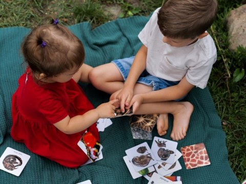 Karty sensoryczne. Zwierzęta 2+ Montessori ega edukacyjna KS1019