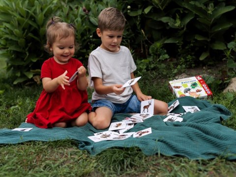 Karty sensoryczne. Zwierzęta 2+ Montessori ega edukacyjna KS1019