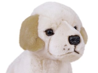 Maskotka pluszak przytulanka Pies Labrador siedzący 20cm 13475