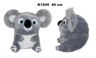 Koala kula 40cm