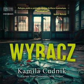 Wybacz audiobook