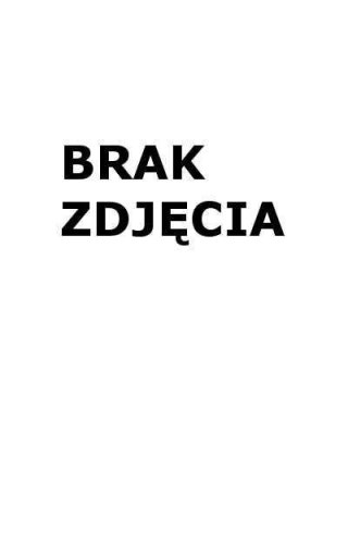 Ołówki z czarnego drewna Astrapen 3szt ASTRA