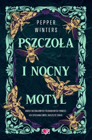 Destini Chronicles T.1 Pszczoła i nocny motyl