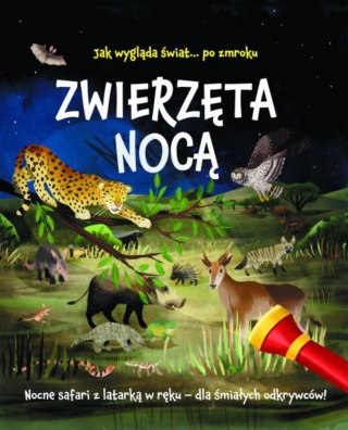 Zwierzęta nocą