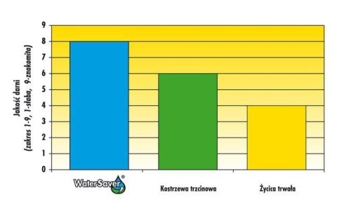 Trawa Odporna Na Suszę Barenbrug Dry & Strong Watersaver 15kg