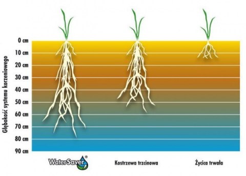 Trawa Odporna Na Suszę Barenbrug Dry & Strong Watersaver Otoczkowana 5kg