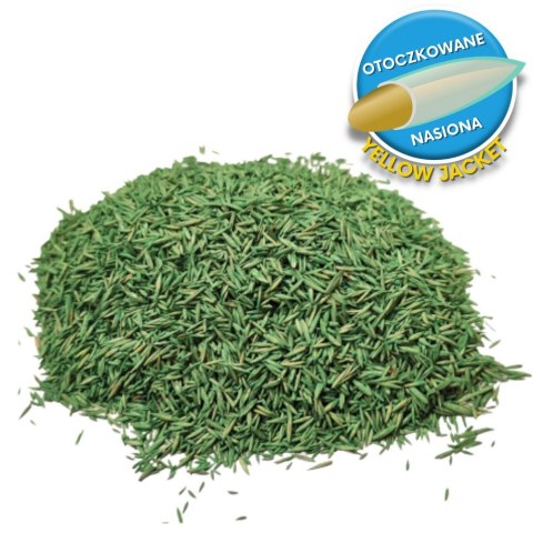 Trawa Regeneracyjna Barenbrug Quick Repair SOS Otoczkowana 1kg