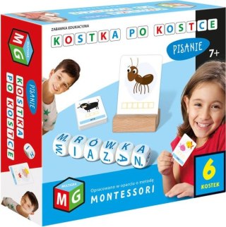 MONTESSORI -ZABAWKA EDUKACYJNA KOSTKA PO KOSTCE-PISANIE 6 KOSTEK