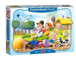 Puzzle 30 Rzepka CASTOR