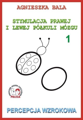 Stymulacja prawej i lewej półkuli 1 Percepcja wzr.